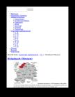 thumbs/heinebach_[juedische-gemeinden.de].pdf.jpg